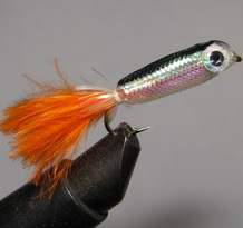 ����  Minnow orange tag ������ � 8